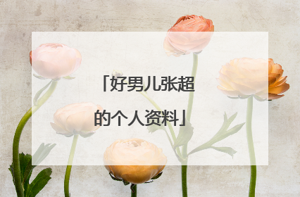 好男儿张超的个人资料