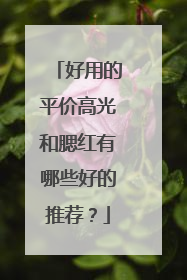 好用的平价高光和腮红有哪些好的推荐?