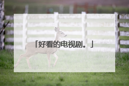 好看的电视剧。