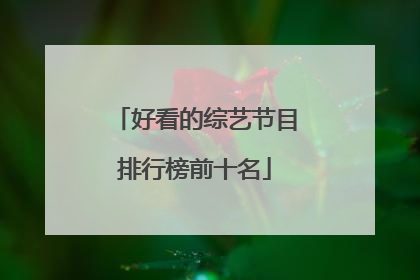 好看的综艺节目排行榜前十名