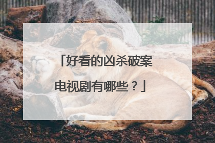 好看的凶杀破案电视剧有哪些?