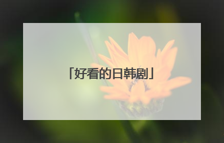 好看的日韩剧