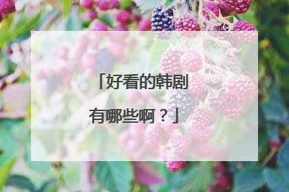 好看的韩剧有哪些啊？