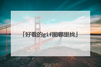 好看的gif图哪里找