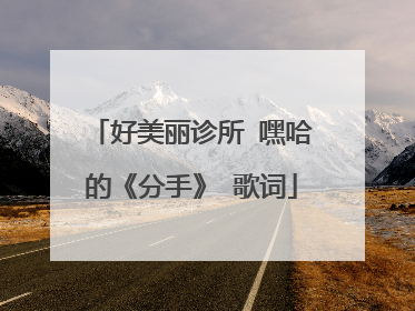 好美丽诊所 嘿哈的《分手》 歌词