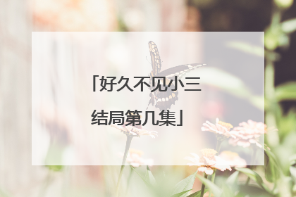 好久不见小三结局第几集