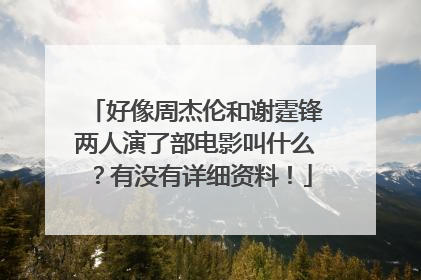 好像周杰伦和谢霆锋两人演了部电影叫什么?有没有详细资料!