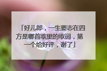 好儿郎，一生要志在四方是哪首歌里的歌词，第一个给好评，谢了