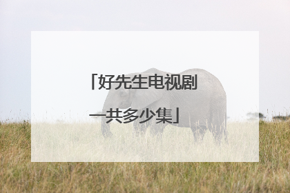 好先生电视剧一共多少集