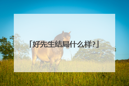 好先生结局什么样?