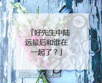 好先生中陆远最后和谁在一起了？