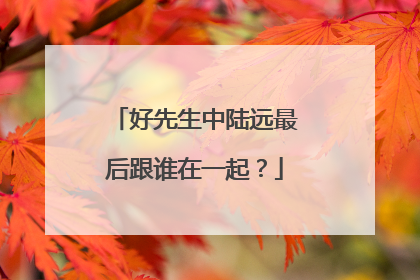 好先生中陆远最后跟谁在一起？