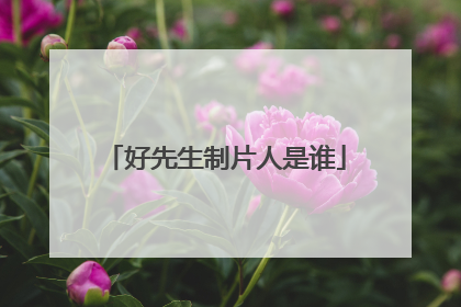 好先生制片人是谁