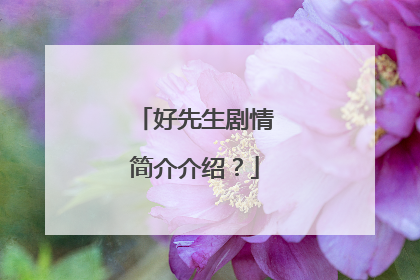 好先生剧情简介介绍？