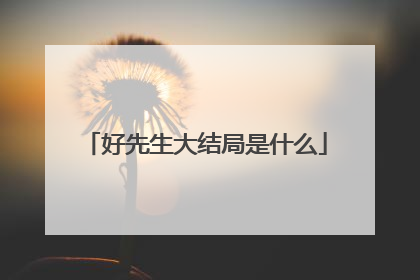 好先生大结局是什么