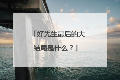 好先生最后的大结局是什么？