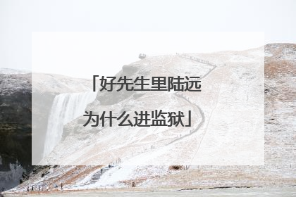 好先生里陆远为什么进监狱