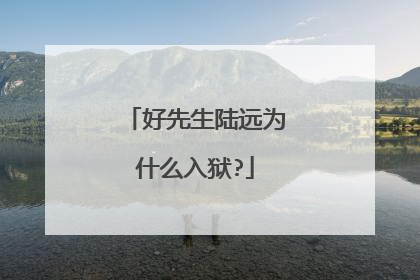 好先生陆远为什么入狱?