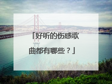 好听的伤感歌曲都有哪些？