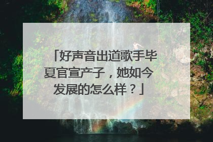 好声音出道歌手毕夏官宣产子，她如今发展的怎么样？
