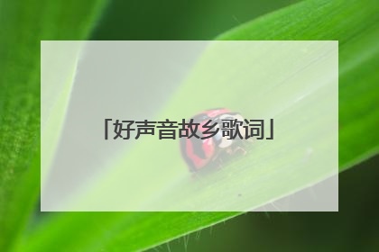 好声音故乡歌词