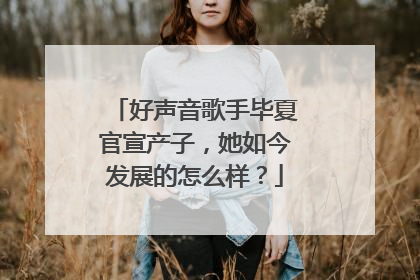 好声音歌手毕夏官宣产子，她如今发展的怎么样？