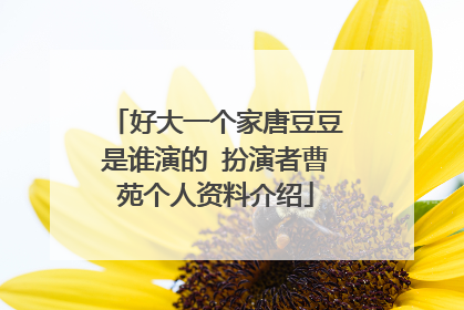 好大一个家唐豆豆是谁演的 扮演者曹苑个人资料介绍