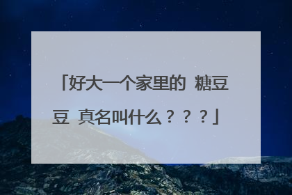 好大一个家里的 糖豆豆 真名叫什么？？？