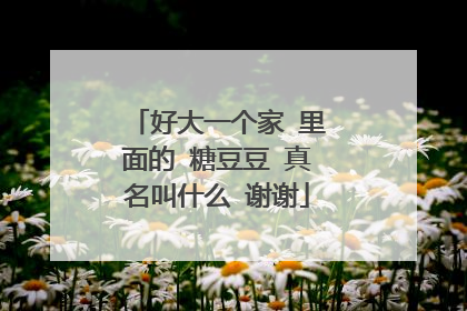 好大一个家 里面的 糖豆豆 真名叫什么 谢谢