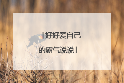 好好爱自己的霸气说说