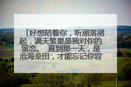 好想陪着你，听潮落潮起，满天繁星是我对你的留恋。 直到那一天，是沧海桑田，才能忘记你容颜。 是什么歌