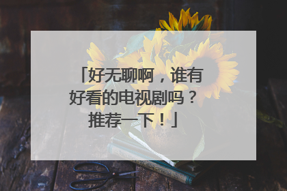 好无聊啊，谁有好看的电视剧吗？推荐一下！