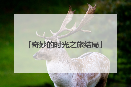 奇妙的时光之旅结局