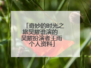 奇妙的时光之旅吴耀谁演的 吴耀扮演者王雨个人资料