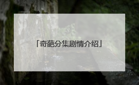 奇葩分集剧情介绍