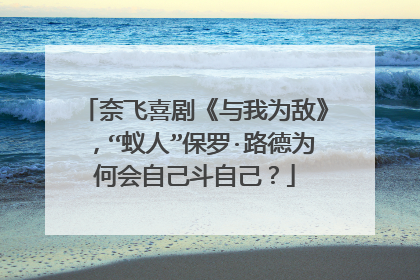 奈飞喜剧《与我为敌》,“蚁人”保罗·路德为何会自己斗自己?