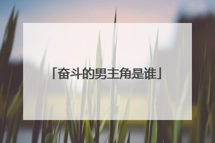 奋斗的男主角是谁