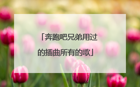 奔跑吧兄弟用过的插曲所有的歌