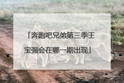 奔跑吧兄弟第三季王宝强会在哪一期出现