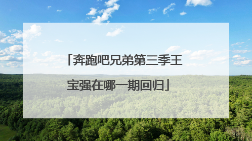 奔跑吧兄弟第三季王宝强在哪一期回归