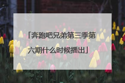 奔跑吧兄弟第三季第六期什么时候播出