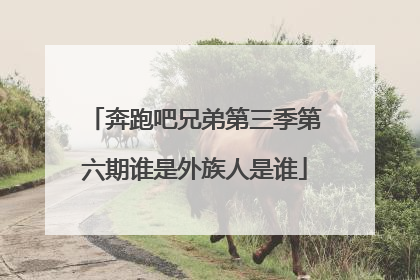 奔跑吧兄弟第三季第六期谁是外族人是谁
