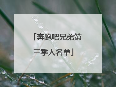 奔跑吧兄弟第三季人名单