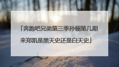 奔跑吧兄弟第三季孙俪第几期来郑凯是黑天史还是白天史