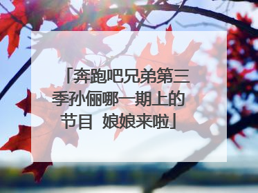 奔跑吧兄弟第三季孙俪哪一期上的节目 娘娘来啦