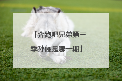 奔跑吧兄弟第三季孙俪是哪一期