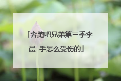 奔跑吧兄弟第三季李晨 手怎么受伤的