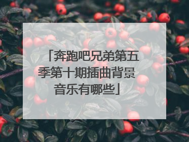 奔跑吧兄弟第五季第十期插曲背景音乐有哪些