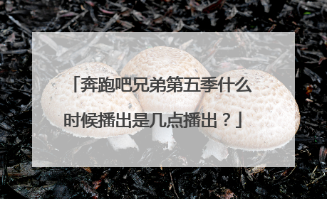 奔跑吧兄弟第五季什么时候播出是几点播出？