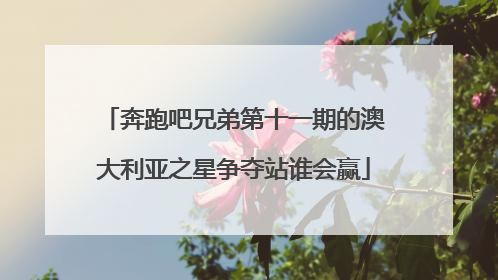奔跑吧兄弟第十一期的澳大利亚之星争夺站谁会赢